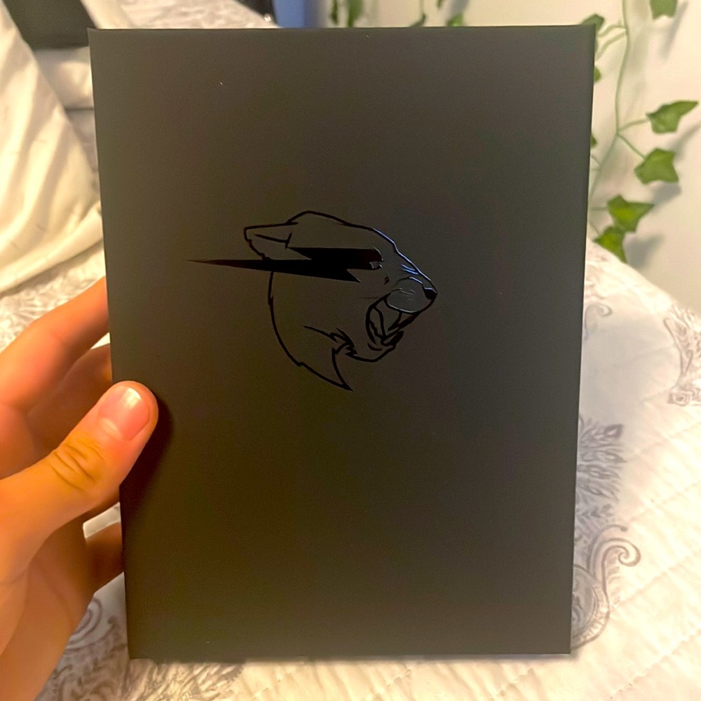 Mr. Beast limited edition 1-100 challenge grass tile